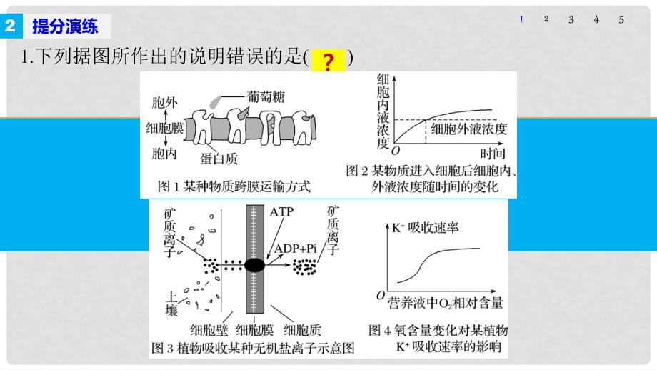 高考生物大二轮专题复习与增分策略 热点题型建模 模型2 分析判断物质出入细胞的方式课件_第4页