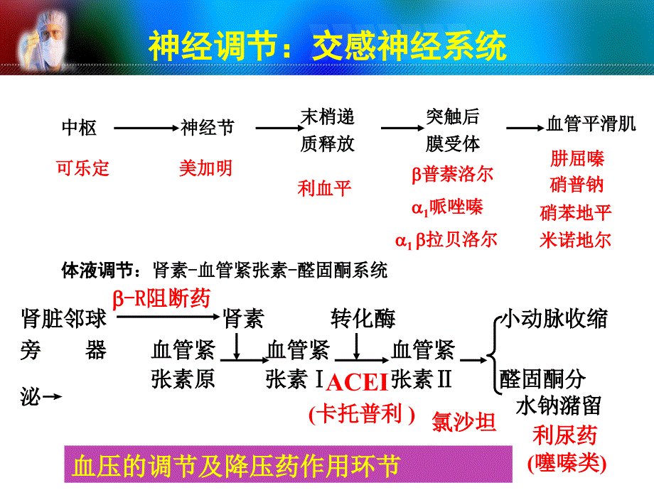 抗高血压药的临床应用PPT文档_第3页