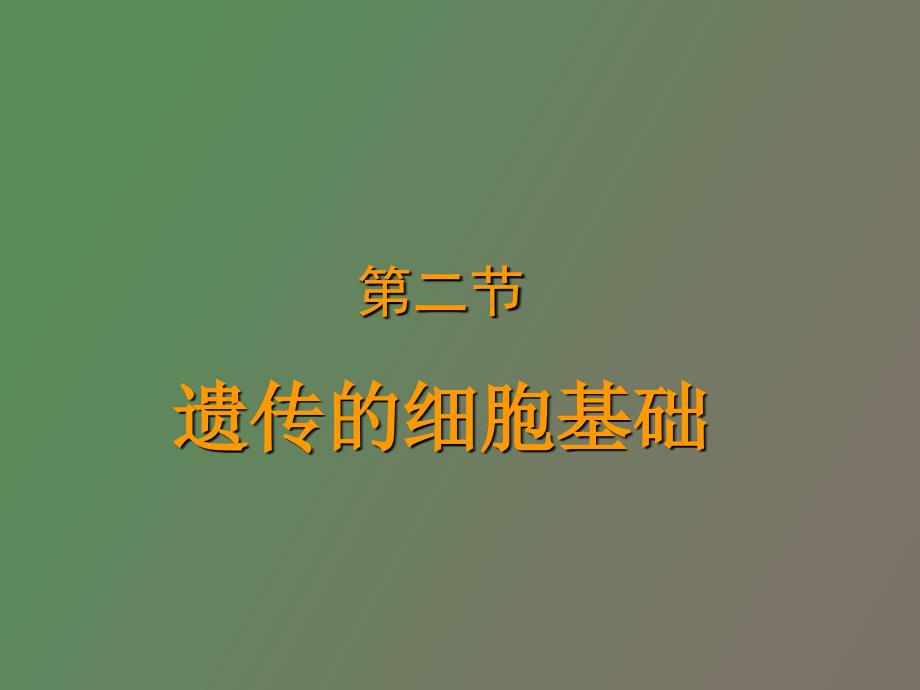 遗传的细胞基础_第1页