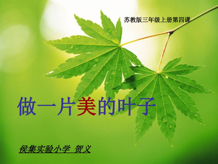 做一片美丽的叶子_第1页