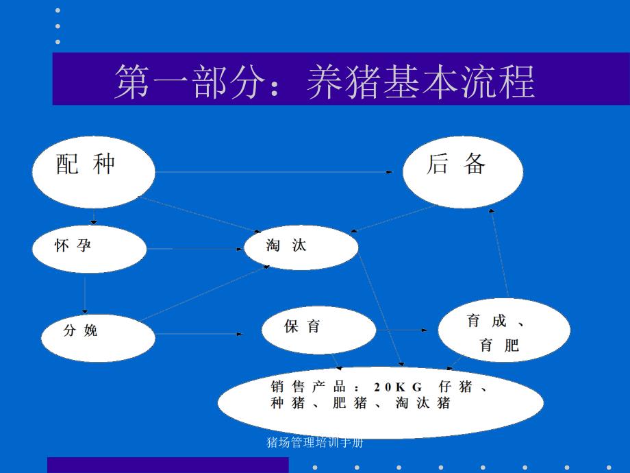 猪场管理培训手册课件_第2页