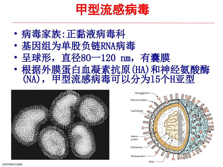 A型H1N1流感防治指南课件_第4页