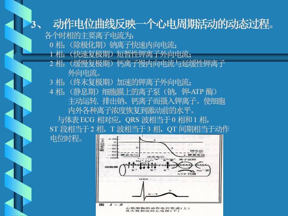 抗心律失常药BFB9D0C4C2C9CAA7B3A3D2A_第4页