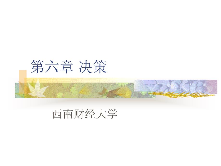 第六章 决策1_第1页