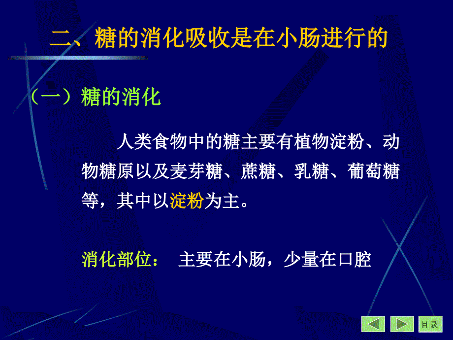 第八章糖代谢_第4页