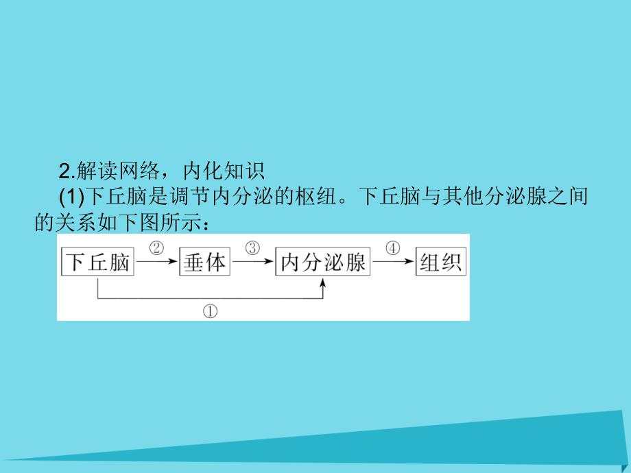 高中生物 专题培优（三）课件 新人教版必修3_第3页