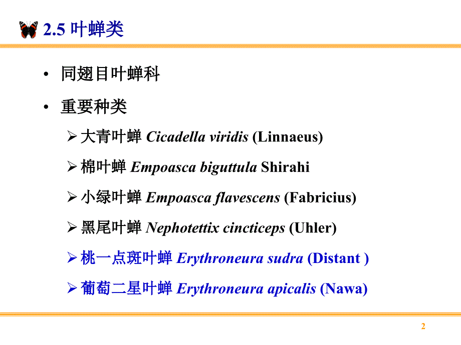 刺吸害虫306最新课件_第2页