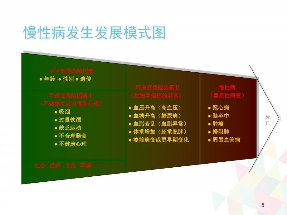 优质课件慢性病与生活方式知识讲座_第5页