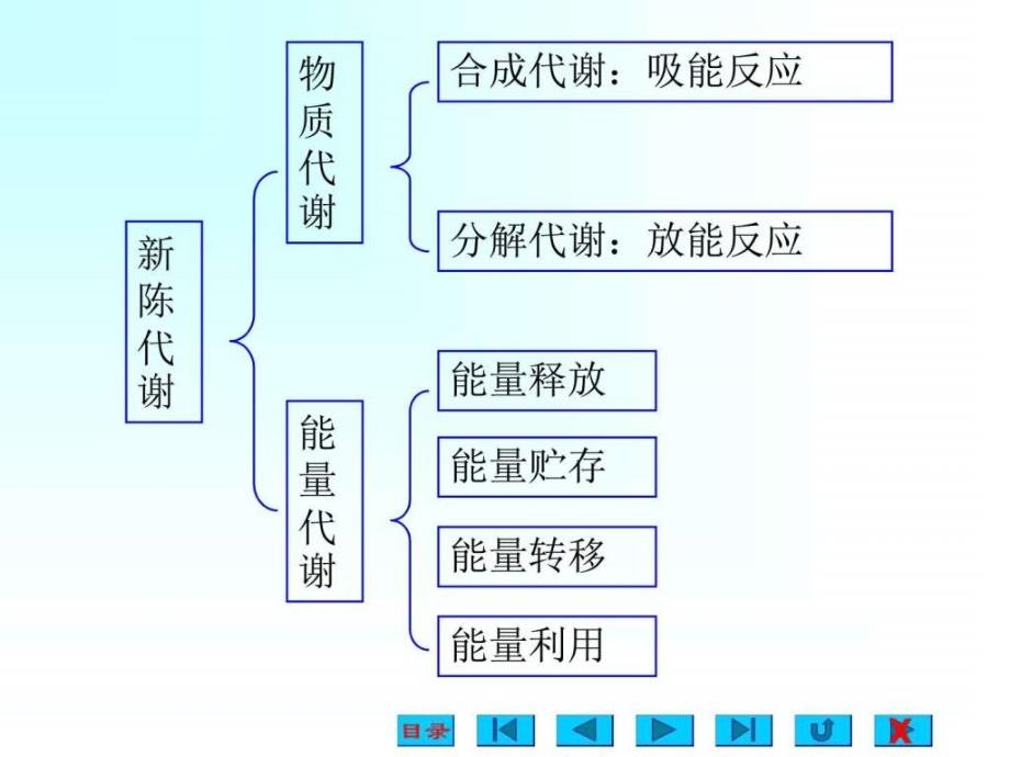 能量代谢与体温_第3页