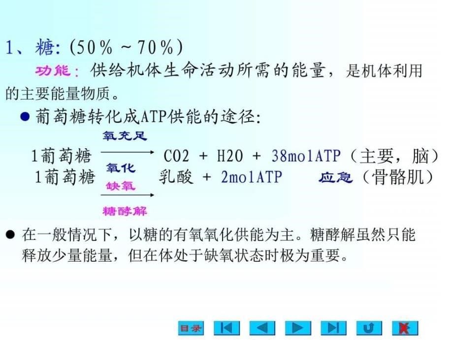 能量代谢与体温_第5页