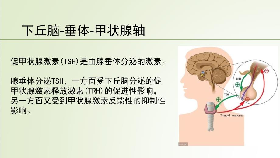 甲状腺疾病治疗中的TSH控制_第4页