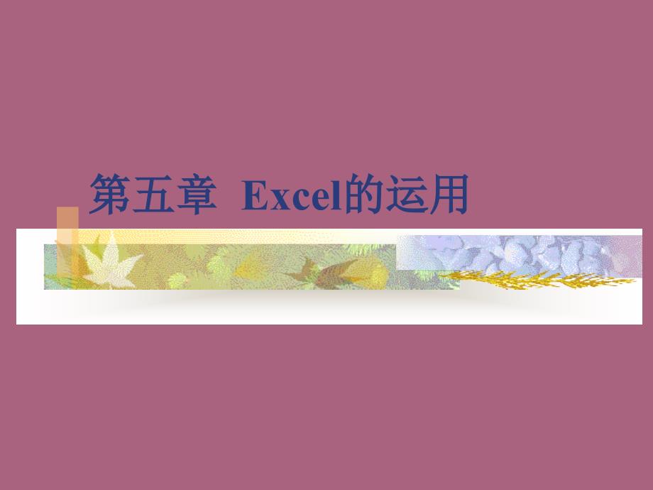 第5章Excel的使用ppt课件_第1页