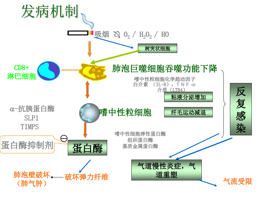 copd发病方法机制与主要研究方法 ppt课件数学_第3页