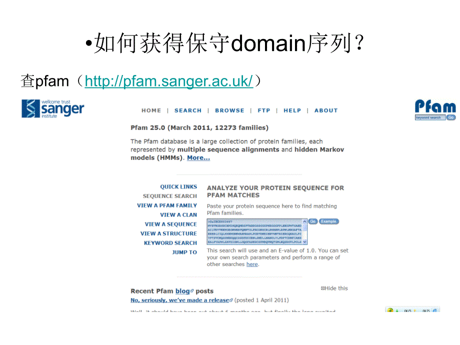 生物信息学示例_第4页