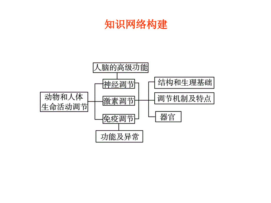 学案与测评课件生物人教版必修三第2章动物和人体生命活动的调节_第3页