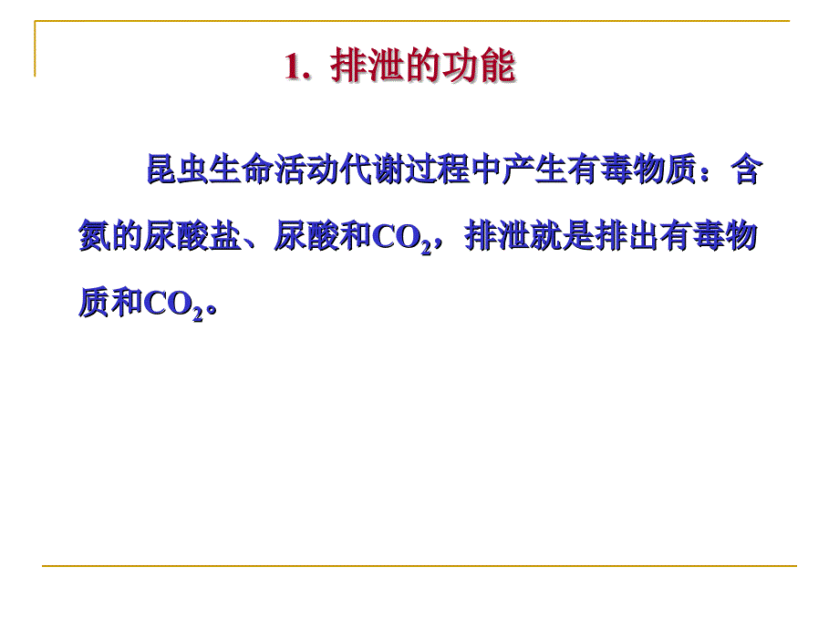 十三章昆虫的排泄器官及其生理ppt课件_第4页