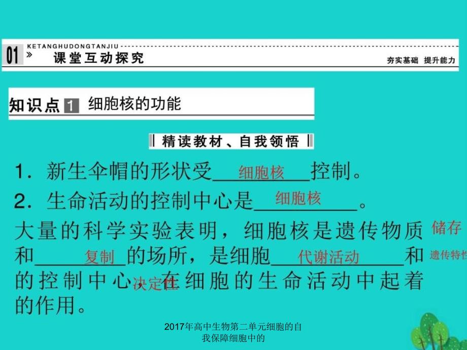 2017年高中生物第二单元细胞的自我保障细胞中的课件_第4页