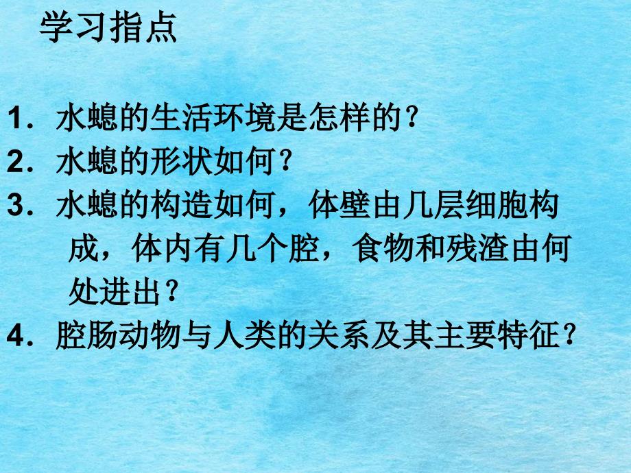 腔肠动物扁形动物1ppt课件_第3页