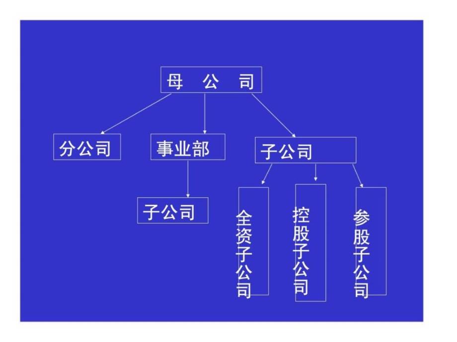 集团管理体制、战略与组织_第4页