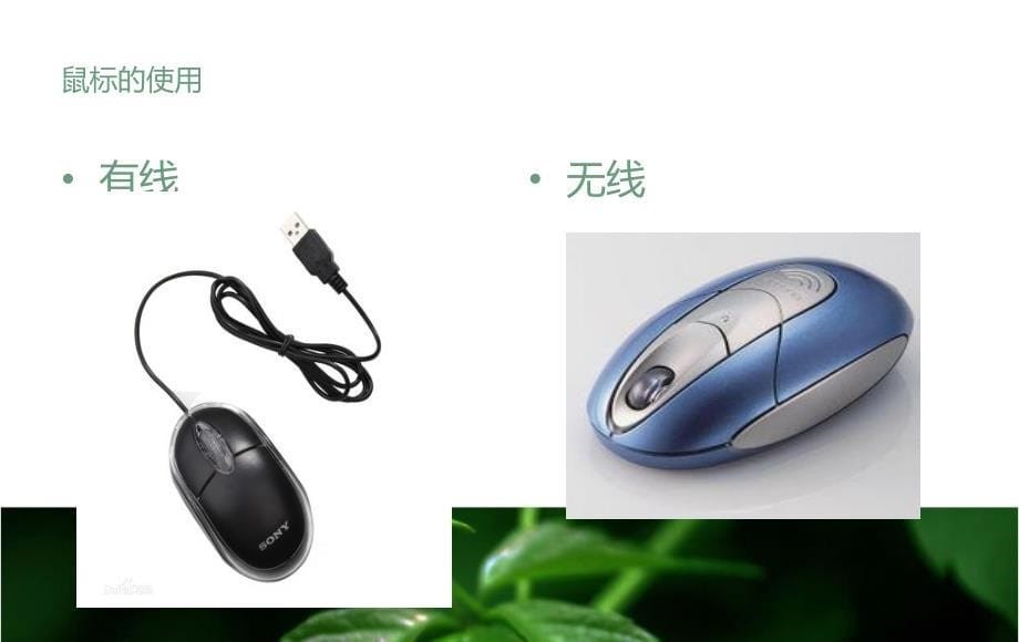 《安全管理机考》PPT课件.ppt_第5页