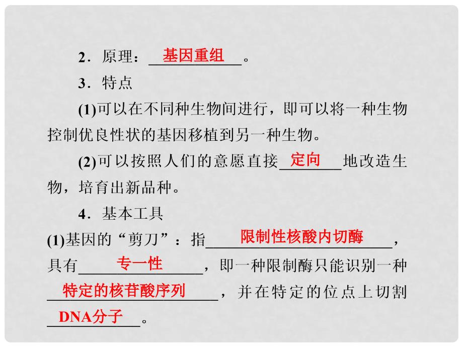 高考生物一轮总复习 第二十八课时 基因工程及其应用课件 新人教版必修2_第4页