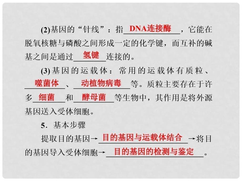 高考生物一轮总复习 第二十八课时 基因工程及其应用课件 新人教版必修2_第5页