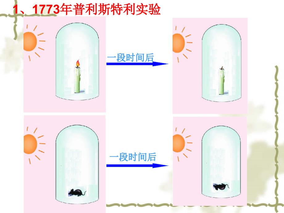 光合作用吸收CO2放出O2（2）_第3页