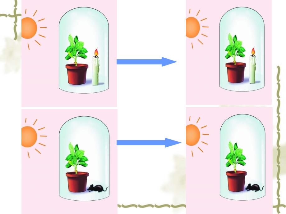 光合作用吸收CO2放出O2（2）_第4页