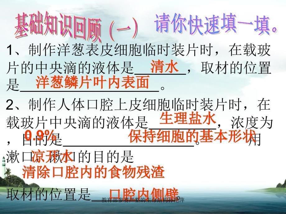 教育部参赛严整的生命结构孙艳萍课件_第5页