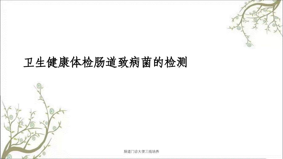 肠道门诊大便三线培养课件_第1页