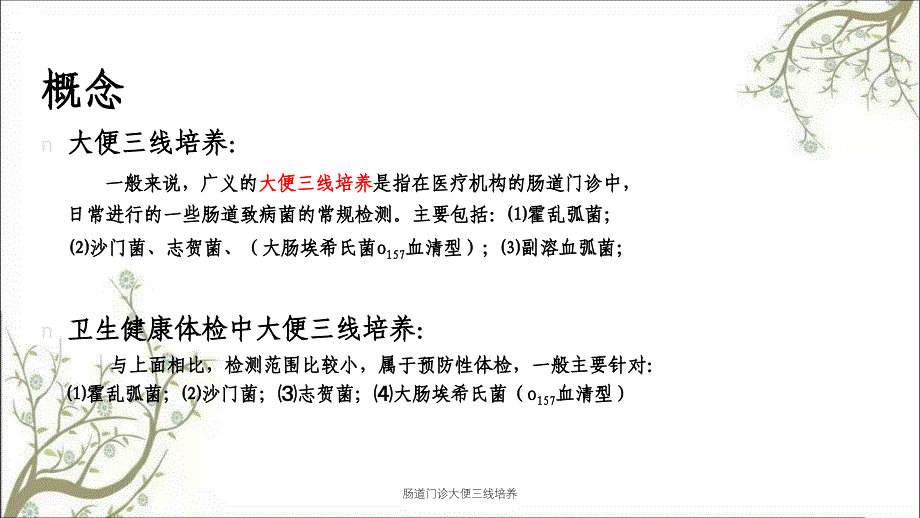 肠道门诊大便三线培养课件_第3页