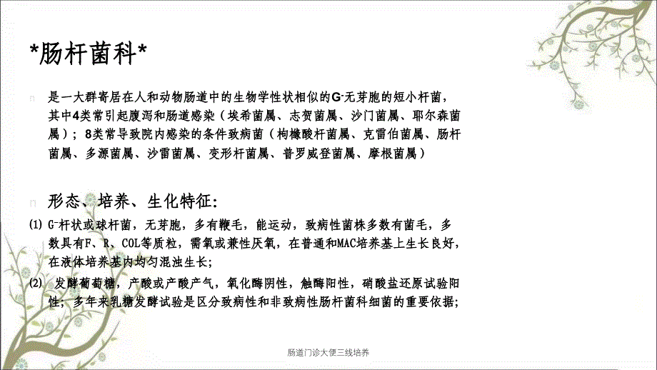 肠道门诊大便三线培养课件_第4页