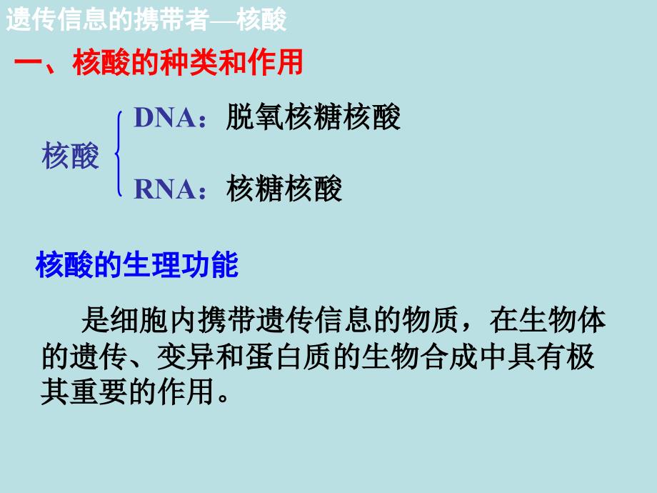 《遗传信息的携带者_第2页