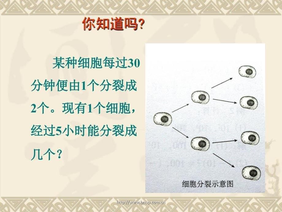 数学：291有理数的乘方1课件北师大版七年级上_第5页