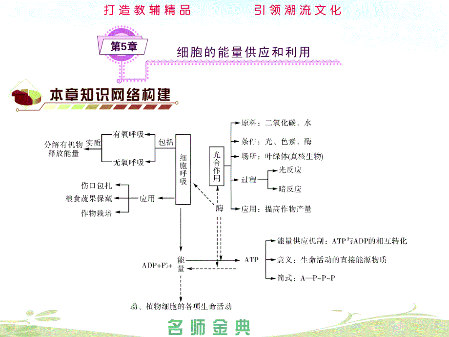 高考生物人教全国通用一轮复习必修1第5章细胞的能量供应和利用_第1页