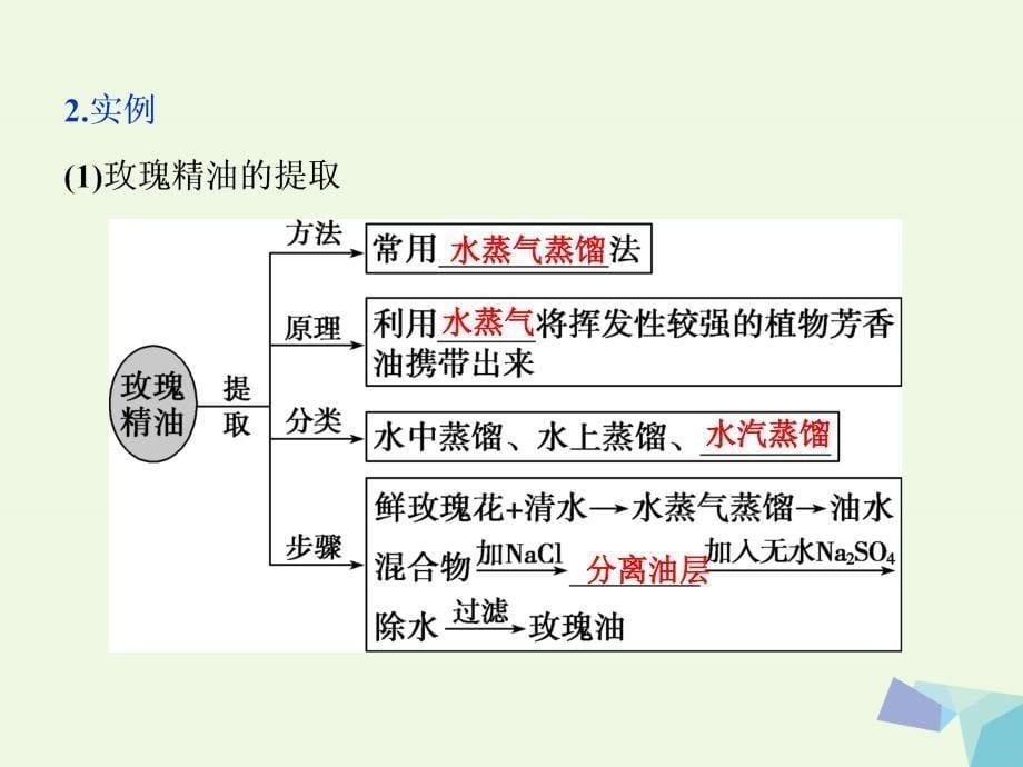 全国高考生物大一轮复习第十三单元生物技术实践第48讲植物有效成分的提取及生物技术在其他方面的应用课件_第5页