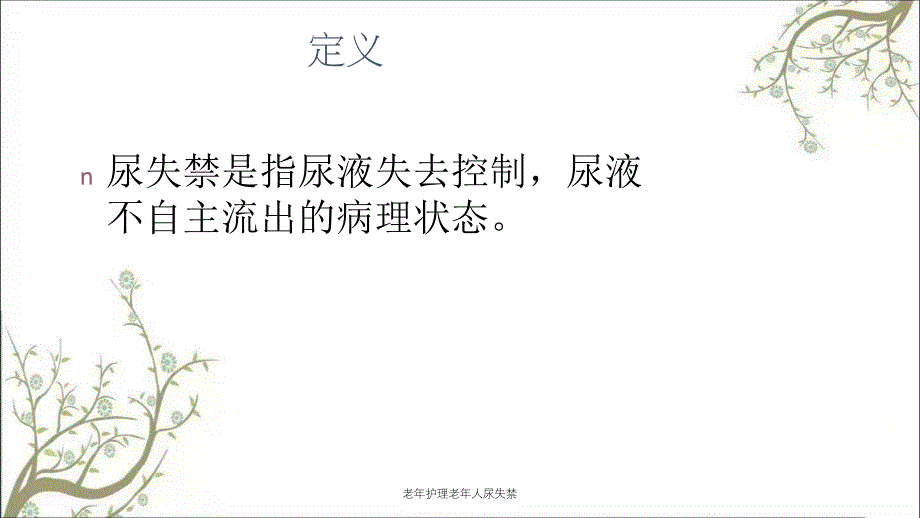 老年护理老年人尿失禁课件_第2页