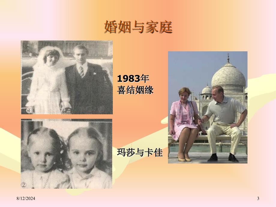 专题六：普京时期中俄两国.ppt_第3页