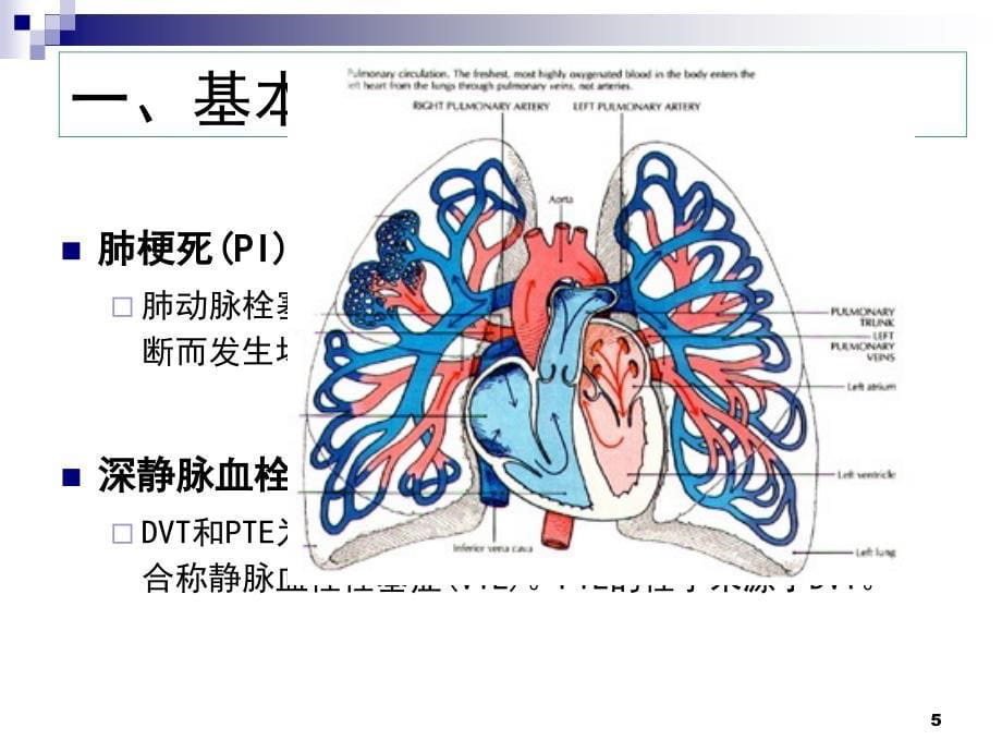 【内科学】肺栓塞 肺动脉高压与慢性肺源性心脏病1PPT课件【精心整编吐血推荐】_第5页