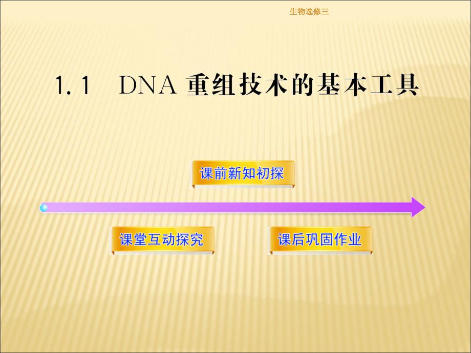 生物选修三课件_第1页