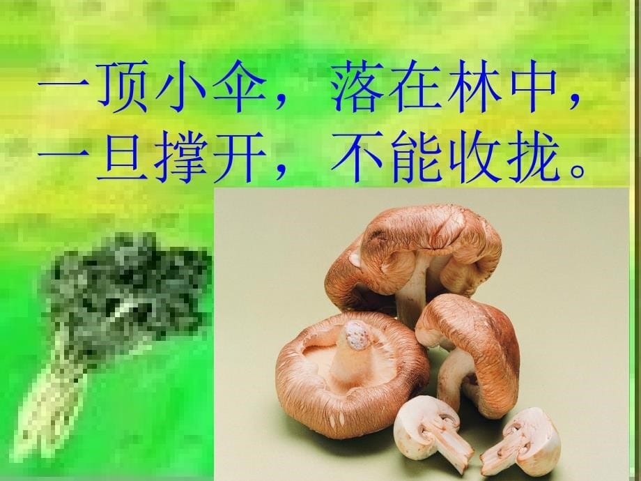 在蔬菜的王国里_第5页