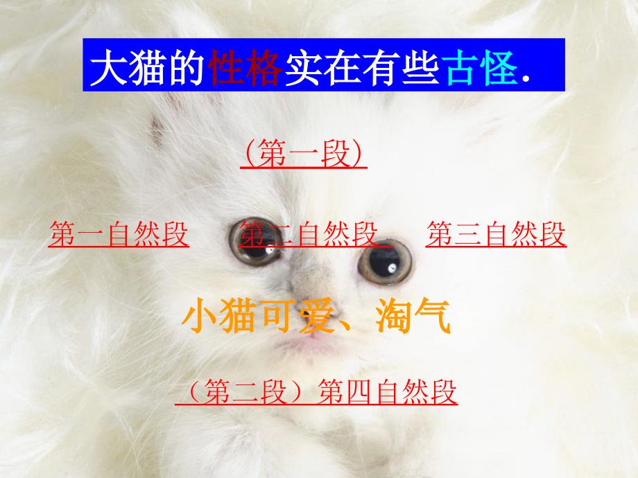 老舍《猫》课件(26页)_第3页