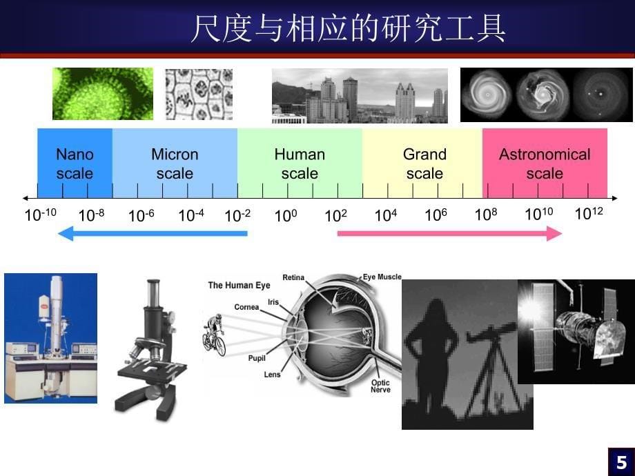 第十六章TEM显微技术及其应用.ppt_第5页