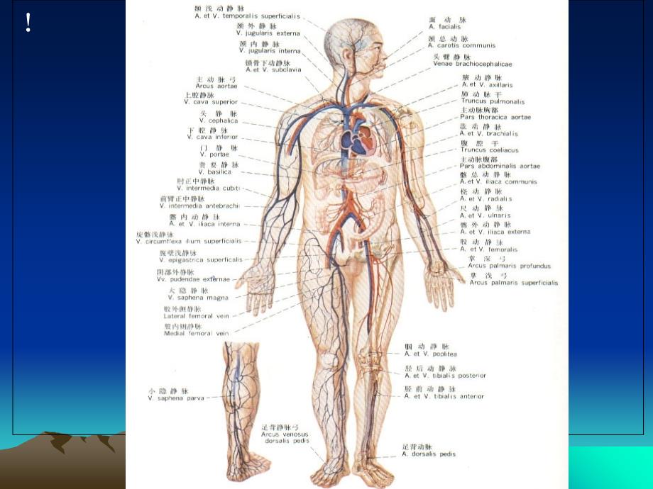 紧急救护知识合版ppt课件_第4页