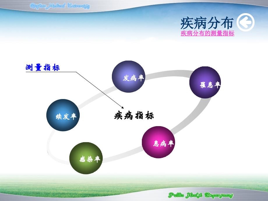 疾病分布课件_第4页