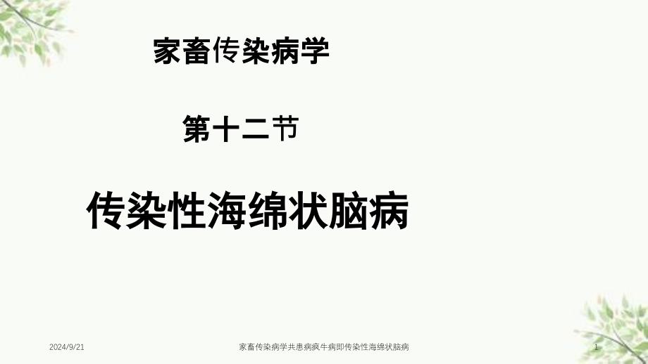 家畜传染病学共患病疯牛病即传染性海绵状脑病课件_第1页