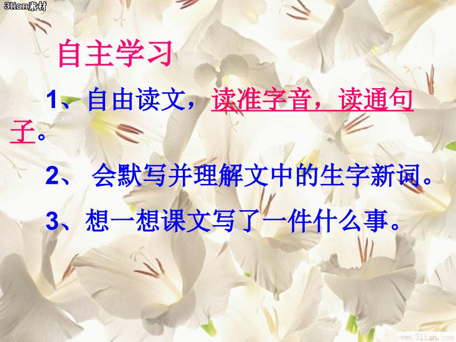 花是种给别人看的课件.ppt_第3页