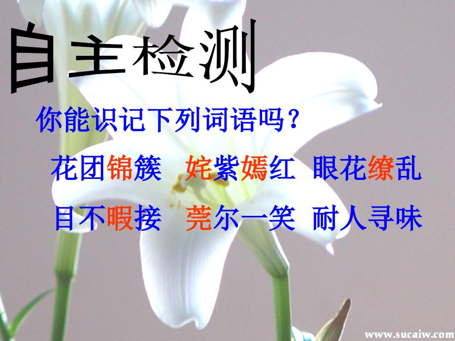 花是种给别人看的课件.ppt_第4页