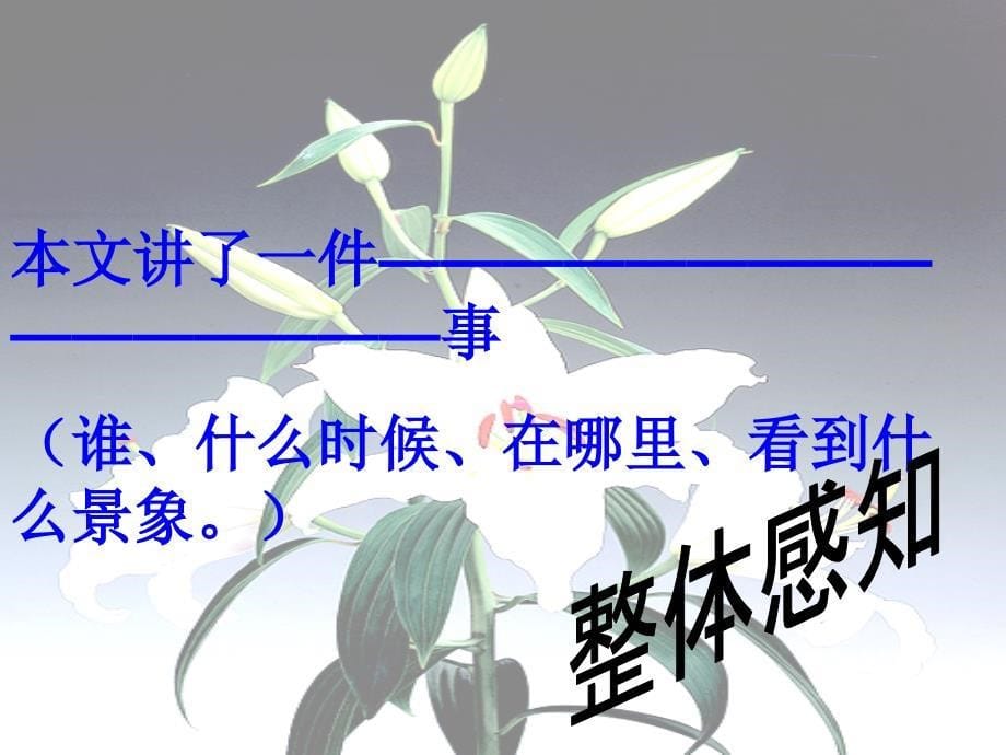 花是种给别人看的课件.ppt_第5页