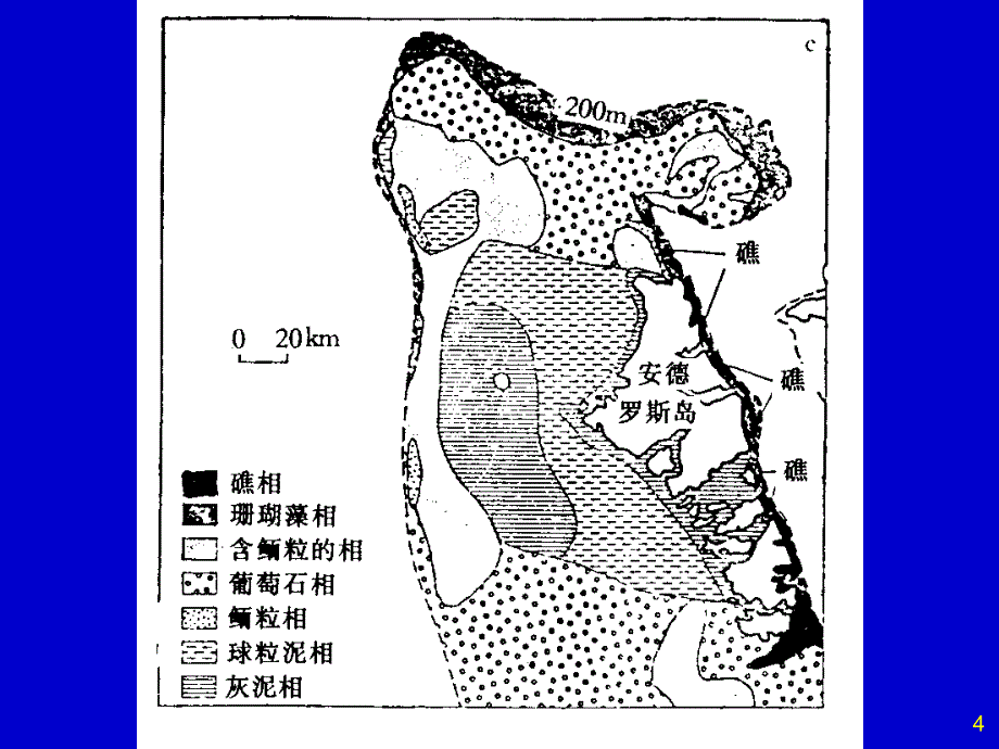 碳酸盐岩成因及环境_第4页